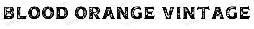 Blood Orange Vintage Serif字体转换